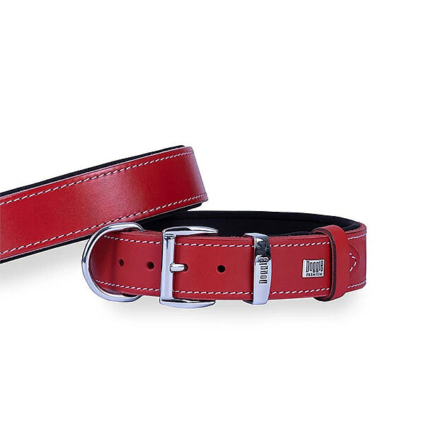 Doggie Deri Köpek Tasması 3.5x52-60cm (Kırmızı) - 2