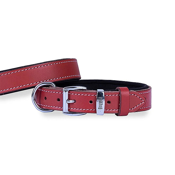 Doggie Deri Köpek Tasması 3x42-50cm (Kırmızı) - 2