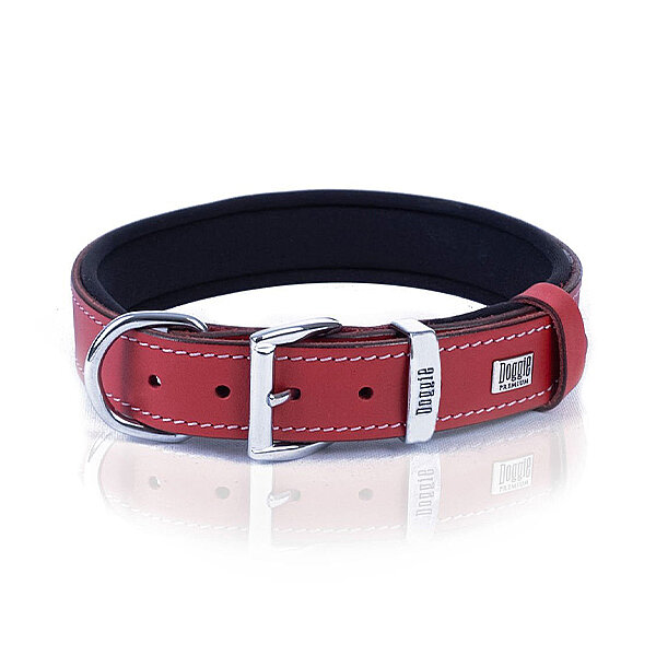 Doggie Deri Köpek Tasması 3x42-50cm (Kırmızı) - 1