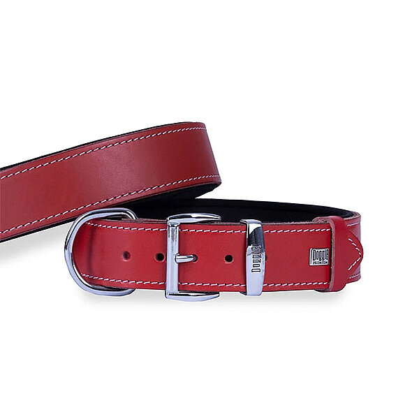Doggie Deri Köpek Tasması 4x47-55cm (Kırmızı) - 2