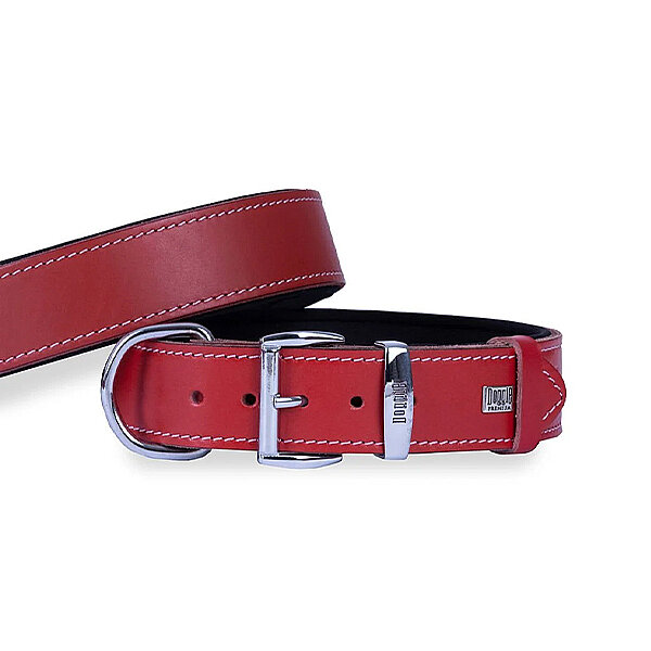 Doggie Deri Köpek Tasması 4x52-60cm (Kırmızı) - 2