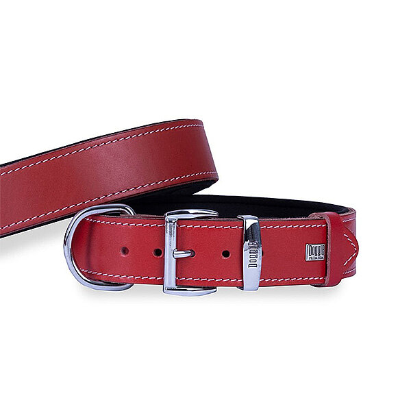 Doggie Deri Köpek Tasması 4x57-65cm (Kırmızı) - 2