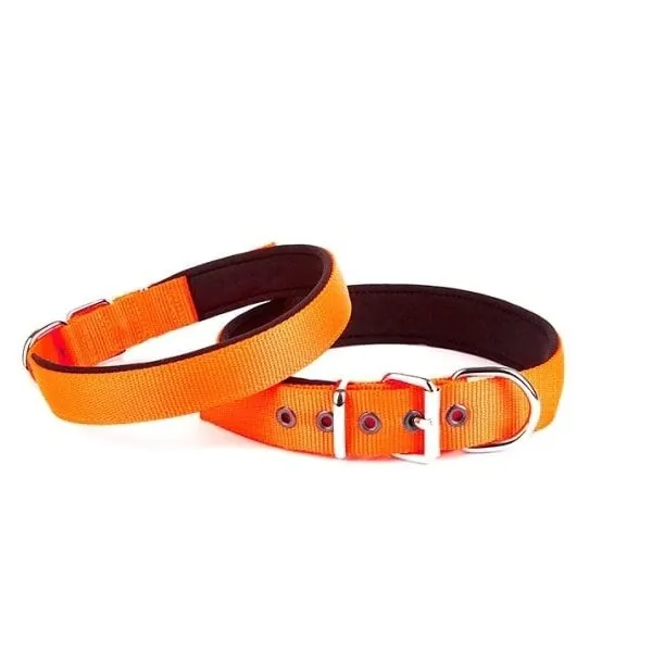 Doggie Dokuma Softlu Köpek Boyun Tasması (2,5cm x 42-50cm - DSBT 2510 L) - 1