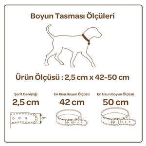 Doggie Dokuma Softlu Köpek Boyun Tasması (2,5cm x 42-50cm - DSBT 2510 L) - 4