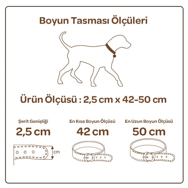 Doggie Dokuma Softlu Köpek Boyun Tasması (2,5cm x 42-50cm - DSBT 2510 L) - 4