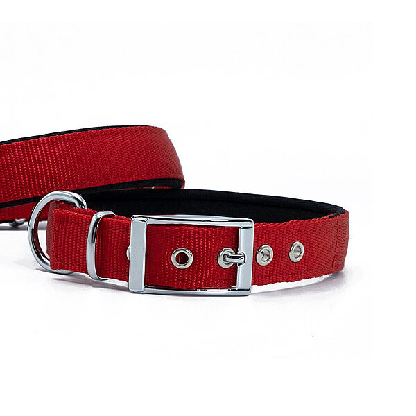 Doggie Elit Dokuma Köpek Tasması 2.5x37-45cm (Kırmızı) - 2