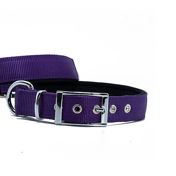 Doggie Elit Dokuma Köpek Tasması 2.5x37-45cm (Mor) - 2
