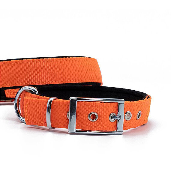 Doggie Elit Dokuma Köpek Tasması 2.5x37-45cm (Turuncu) - 2