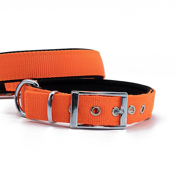 Doggie Elit Dokuma Köpek Tasması 4x47-55cm (Turuncu) - 2