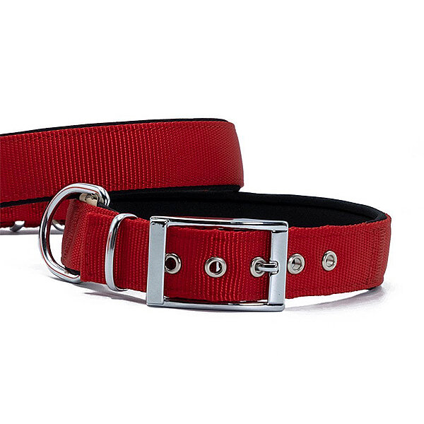 Doggie Elit Dokuma Köpek Tasması 4x57-65cm (Kırmızı) - 2