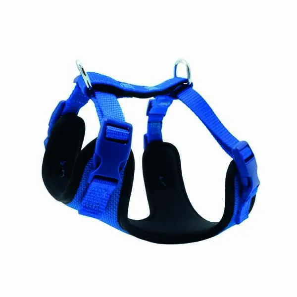 DOGGİE HAVALI DOKUMA GÖĞÜS TASMASI ROYALMAVİ 1,5X35-45CM - 1