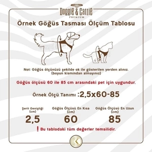 DOGGİE HAVALI DOKUMA KEDİ GÖĞÜS & GEZDİRME TAKIMI KIRMIZI 1,5X30-40CM - 3