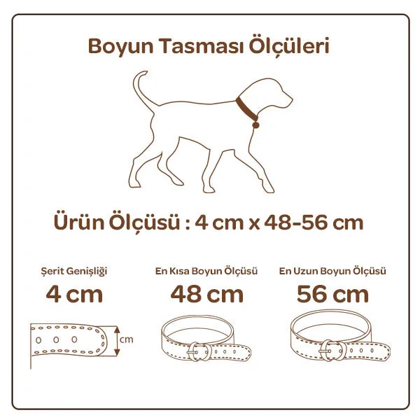 Doggie Kemik Desenli Deri Boyun Tasması (4cm x 48-56cm - SBT 4035 M) - 3