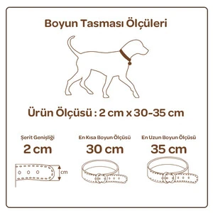 Doggie Kemik Metal Süslü Deri Boyun Tasması (2cm x 30-35cm - SBT 2062 S) - 2