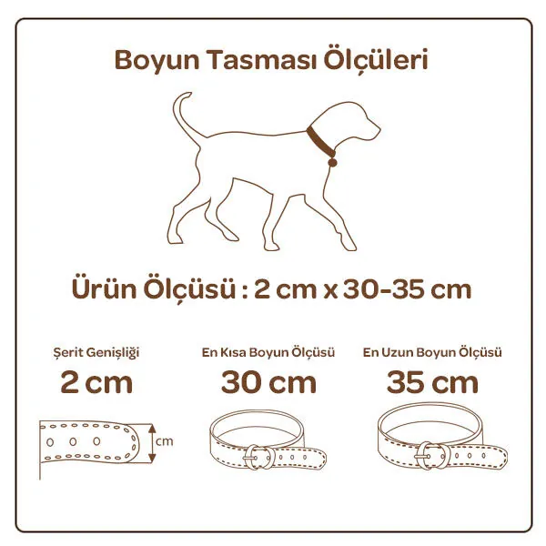 Doggie Kemik Metal Süslü Deri Boyun Tasması (2cm x 30-35cm - SBT 2062 S) - 2