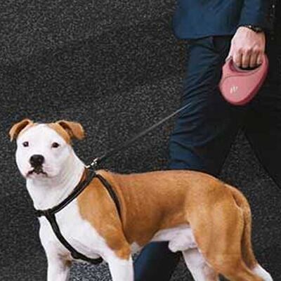 Doggie Master Serisi Otomatik Köpek Gezdirme Tasması Medium - 19
