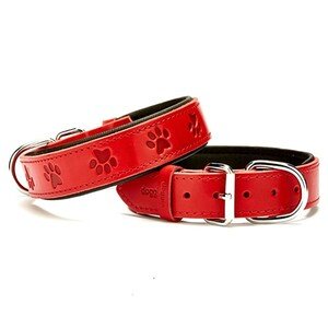 Doggie Pati Desenli Deri Boyun Tasması (3,5cm x 44-52cm - SBT 3536 M)