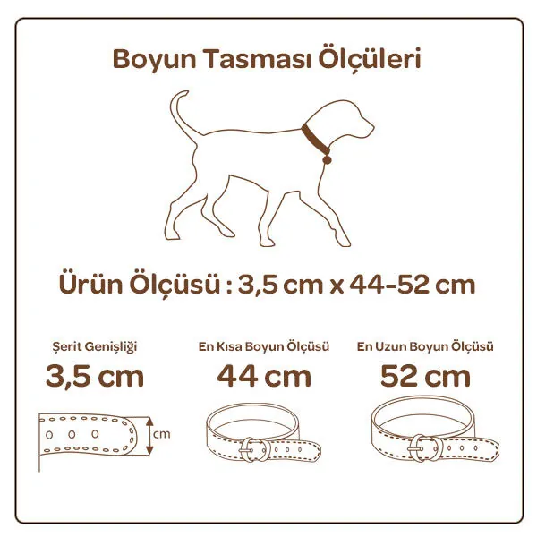 Doggie Pati Desenli Deri Boyun Tasması (3,5cm x 44-52cm - SBT 3536 M) - 3