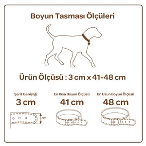 Doggie Piramit Metal Süslü Deri Boyun Tasması (3cm x 41-48cm - SBT 3061 M) - 2