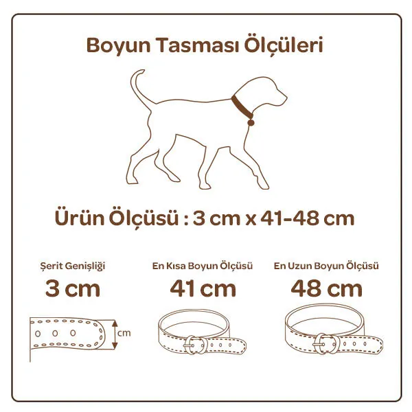 Doggie Piramit Metal Süslü Deri Boyun Tasması (3cm x 41-48cm - SBT 3061 M) - 2