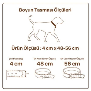 Doggie Piramit Metal Süslü Deri Boyun Tasması (4cm x 48-56cm - SBT 4061 M) - 3