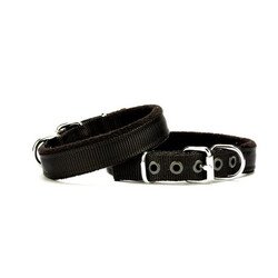 Doggie Polar Softlu Köpek Boyun Tasması (PDBT-2010 M)