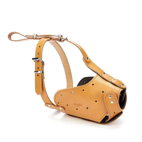 Doggie Uzun Burun Koruma Deri Ağızlık 80 CM - 4
