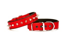 Doggie Yumuşak Doku Çivili Boyun Tasması (3CMx55CM - DSBT 3012)