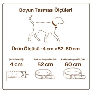 Doggie Yumuşak Doku Çivili Deri Boyun Tasması (4cm x 52-60cm - DSBT 4012) - 2
