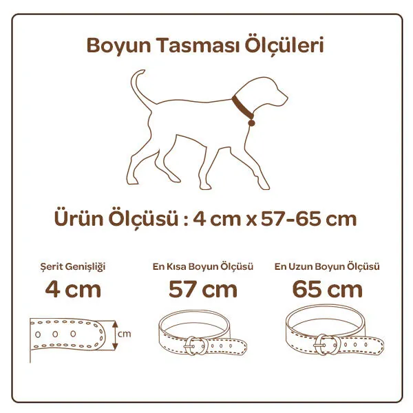 Doggie Yumuşak Doku Çivili Deri Boyun Tasması (4cm x 57-65cm - DSBT 4012 L) - 2