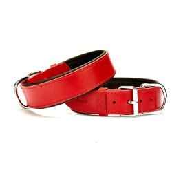 Doggie Yumuşak Doku Deri Boyun Tasması (4CMx75CM - SBT 4010 L) - 2