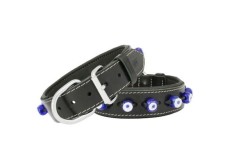Doggie Nazar Boncuklu Deri Boyun Tasması (3.5CMx70CM-SBT 3523 L)