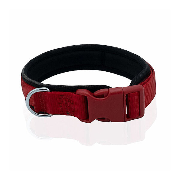 Doggie Yumuşak Dolgulu Köpek Tasması 2x35-45cm (Kırmızı)