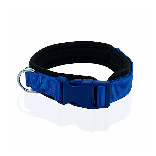 Doggie Yumuşak Dolgulu Köpek Tasması 2x35-45cm (Mavi)