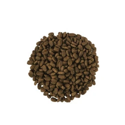 Dr.Sacchi Premium Düşük Tahıllı Kısır Kedi Maması 10 KG - 2