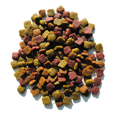 Dr.Sacchi Premium Sensitive Biftekli Kedi Maması 15 KG - 2