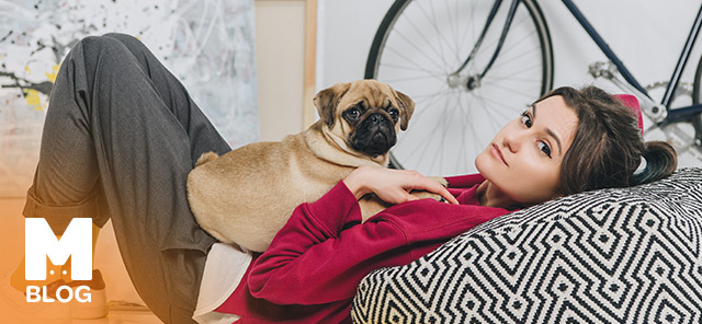 Dünyanın En Tembel Köpekleri