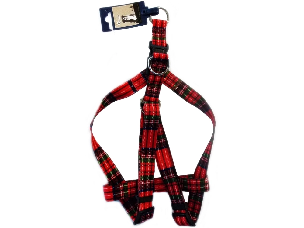 Eastland Bez Göğüs Tasma 25 Mm - 1