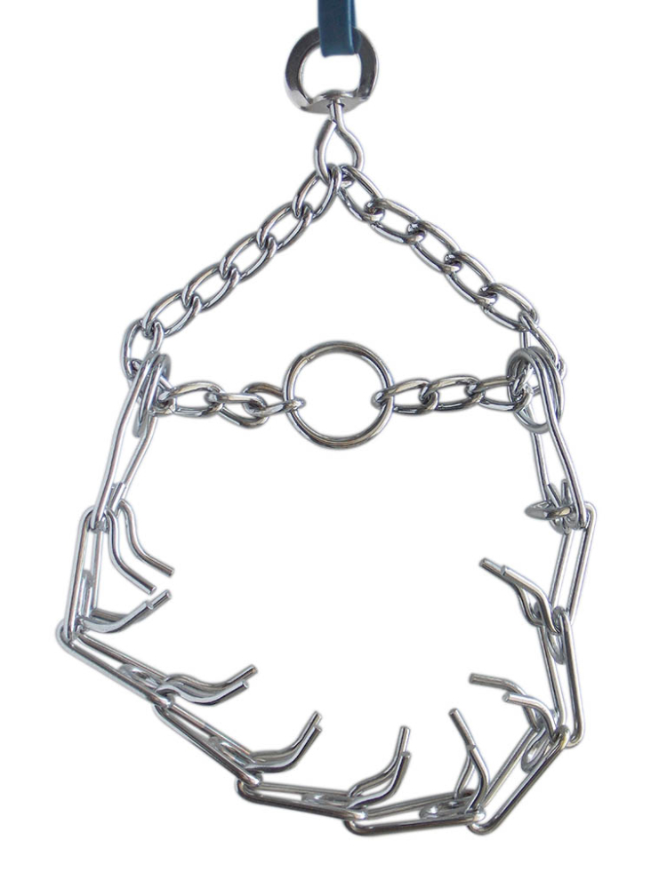 Eastland Eğitim Tasması S - 1