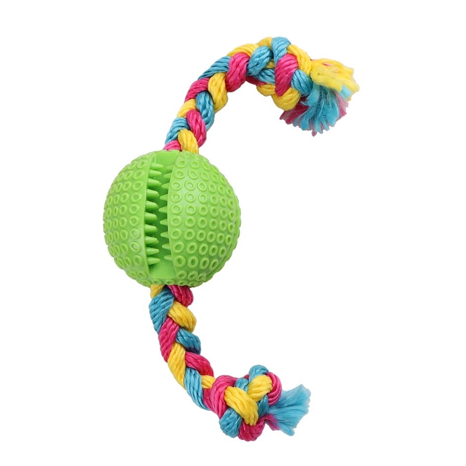 Eastland İpli Plastik Rugby Topu 6,5 Cm - 1