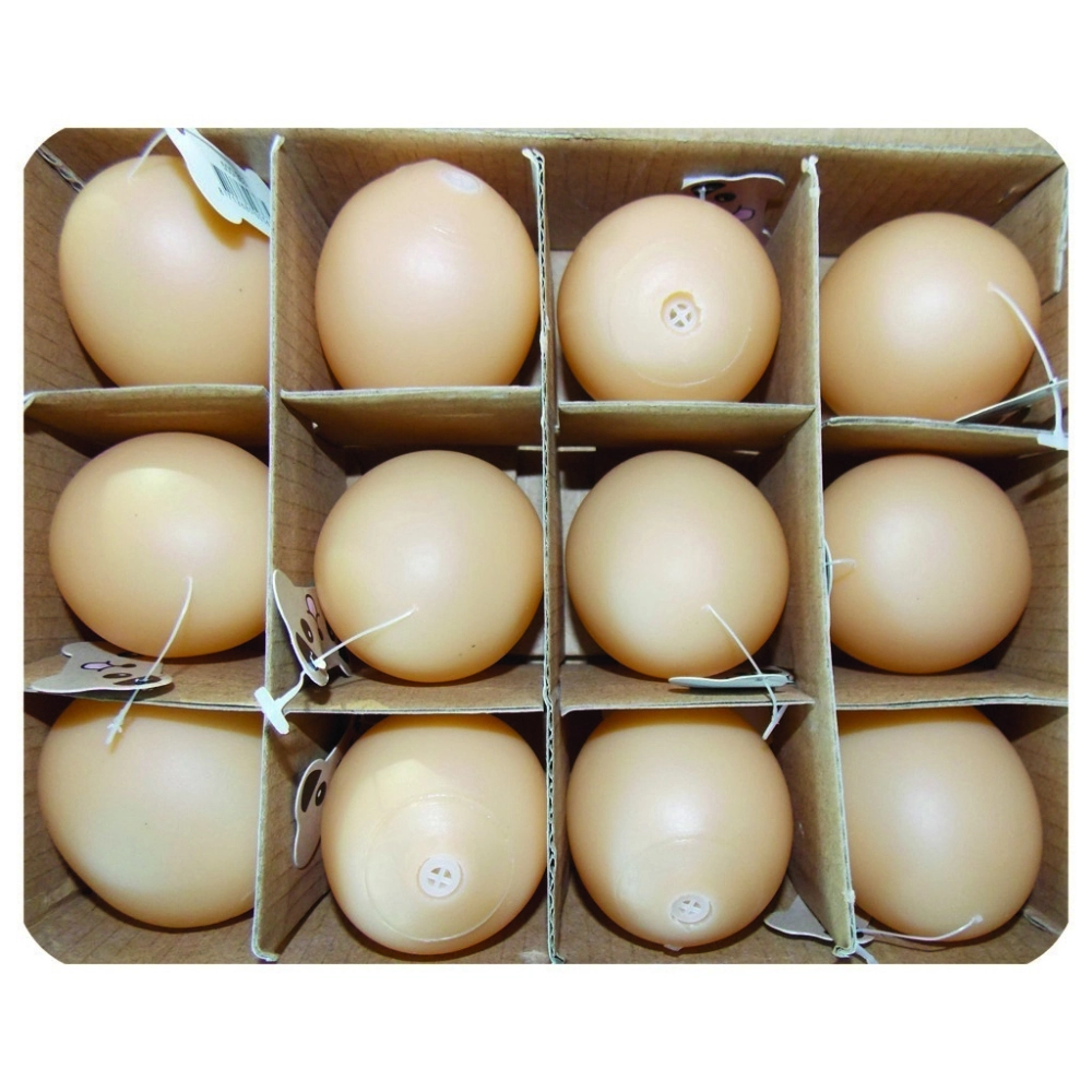 Eastland Plastik Yumurta Oyn. 12'li 5cm - 1