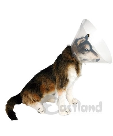 Eastland Yakalık (elizabet) 20 Cm - 1