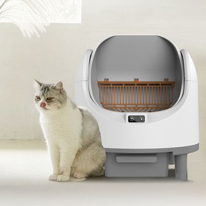 Electron Akıllı Açık Kasa Otomatik Kedi Tuvaleti – Sessiz Motorlu, Koku Gidericili, UV Sterilizasyonlu