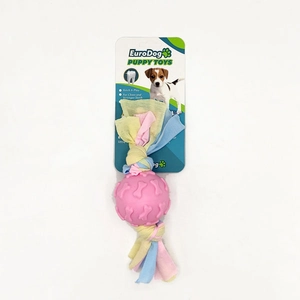 EuroDog Puppy Toys Pembe Kemik Des.Top Diş Kaş.Oy.