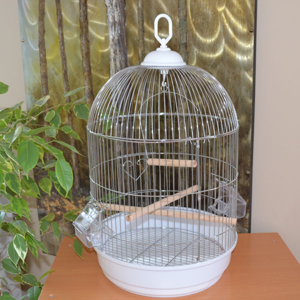 EuroGold Yuvarlak Salon Kafesi Krom ø34x55 - 1