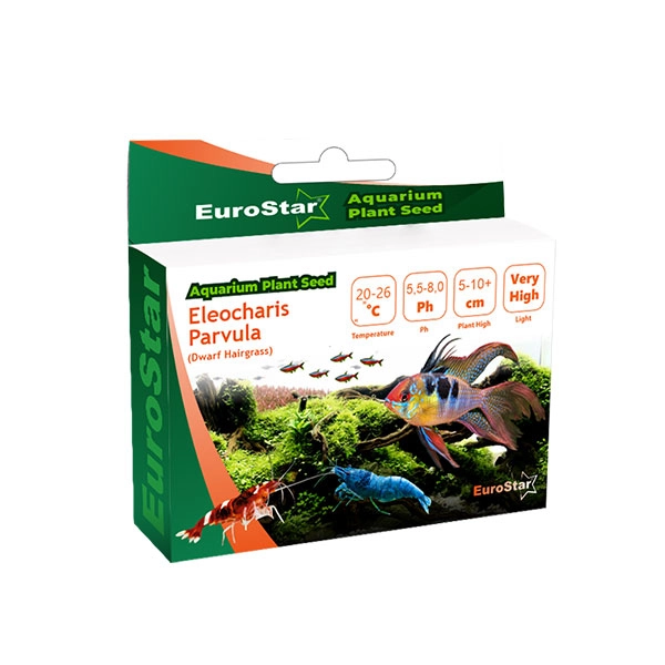 EuroStar Bitki Tohumu Eleocharis Parvula - 1