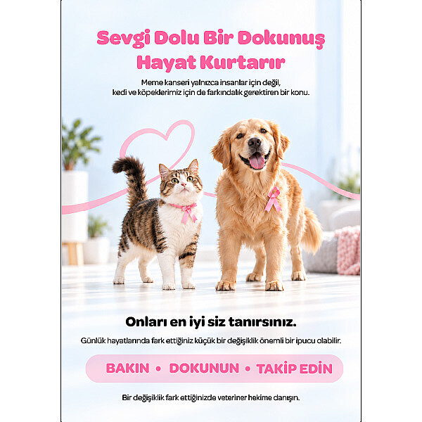 Pembe Farkındalık Kartı - 1