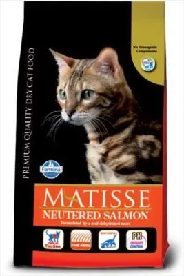 Matisse Sterilised Somonlu Kısırlaştırılmış Kedi Maması 10 KG - 1