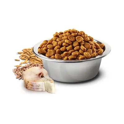 ND Balıklı Düşük Tahıllı Köpek Maması 2.5 KG - 3