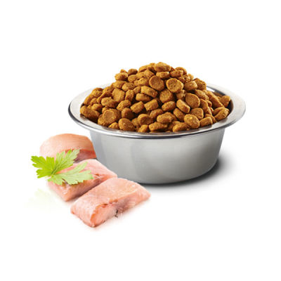 ND Tahılsız Balıklı Portakallı Kedi Maması 5 KG - 2